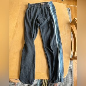 Aviator Nation Navy Blue Sweatpants.